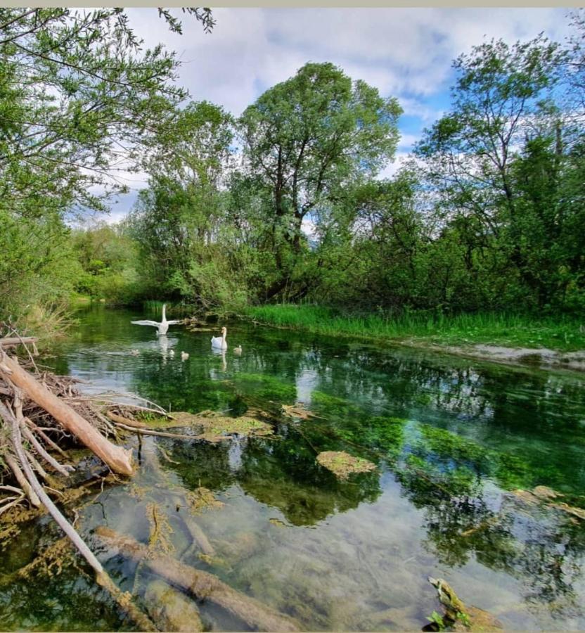 Panoramablick Διαμέρισμα Breitenwang Εξωτερικό φωτογραφία