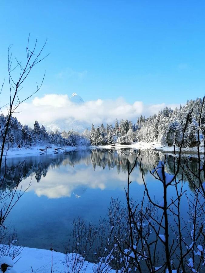 Panoramablick Διαμέρισμα Breitenwang Εξωτερικό φωτογραφία